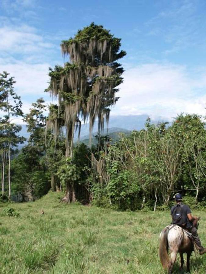 فندق Hacienda Monteclaro توريالبا المظهر الخارجي الصورة