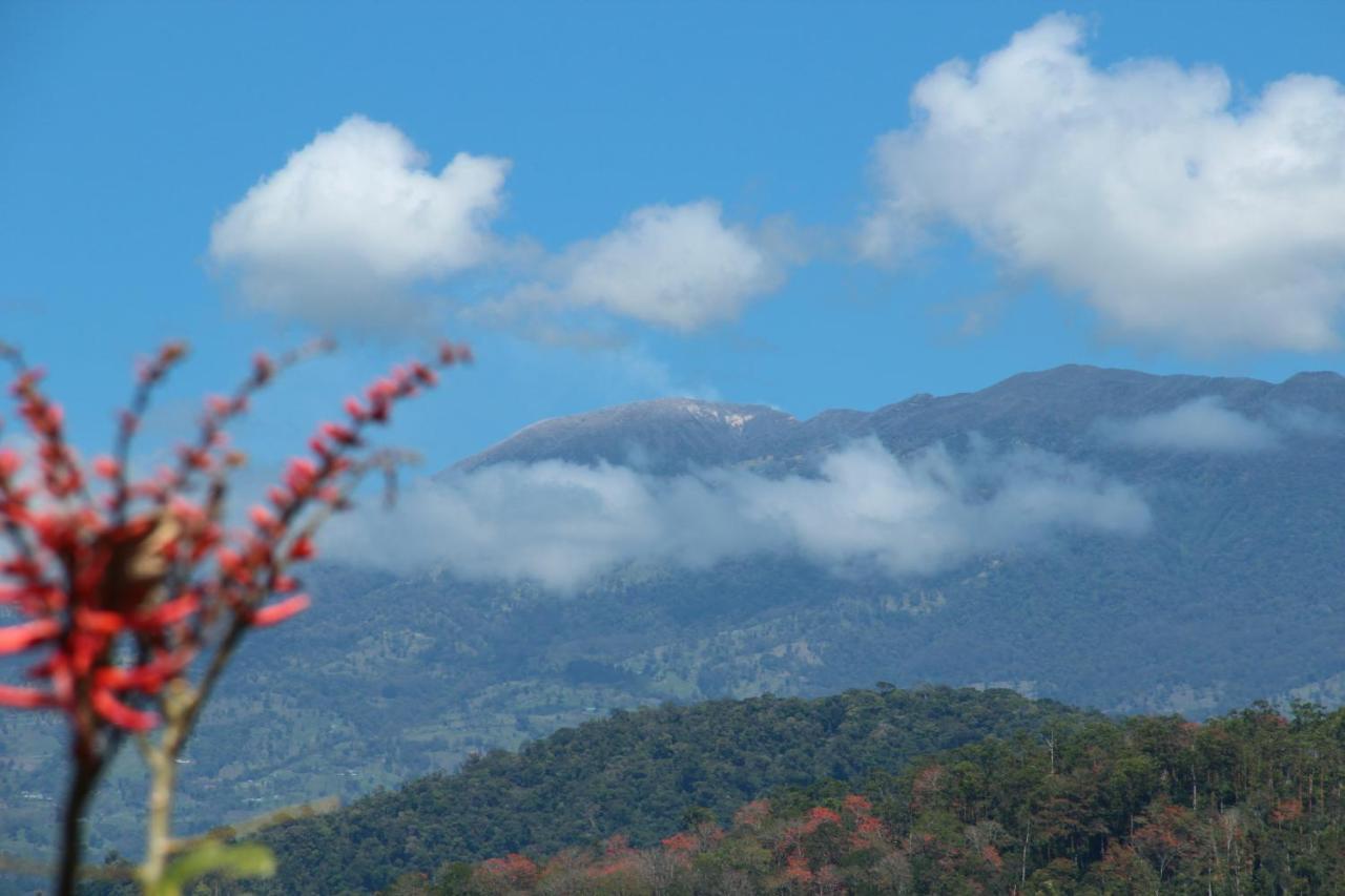 فندق Hacienda Monteclaro توريالبا الغرفة الصورة
