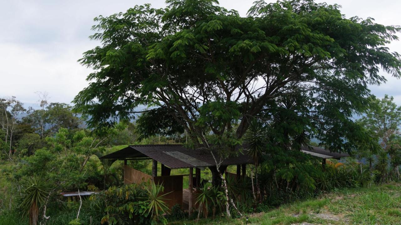 فندق Hacienda Monteclaro توريالبا المظهر الخارجي الصورة