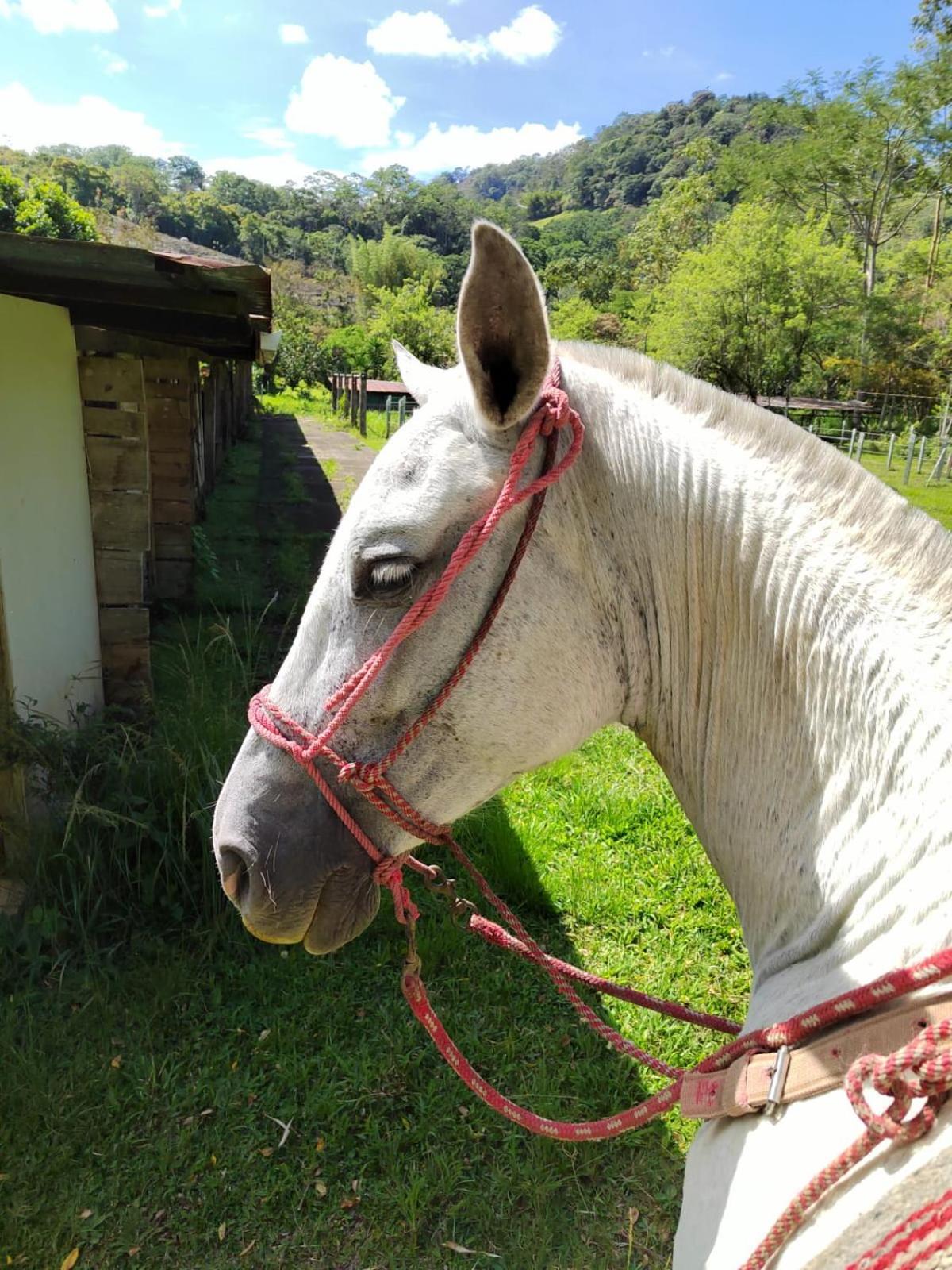 فندق Hacienda Monteclaro توريالبا المظهر الخارجي الصورة