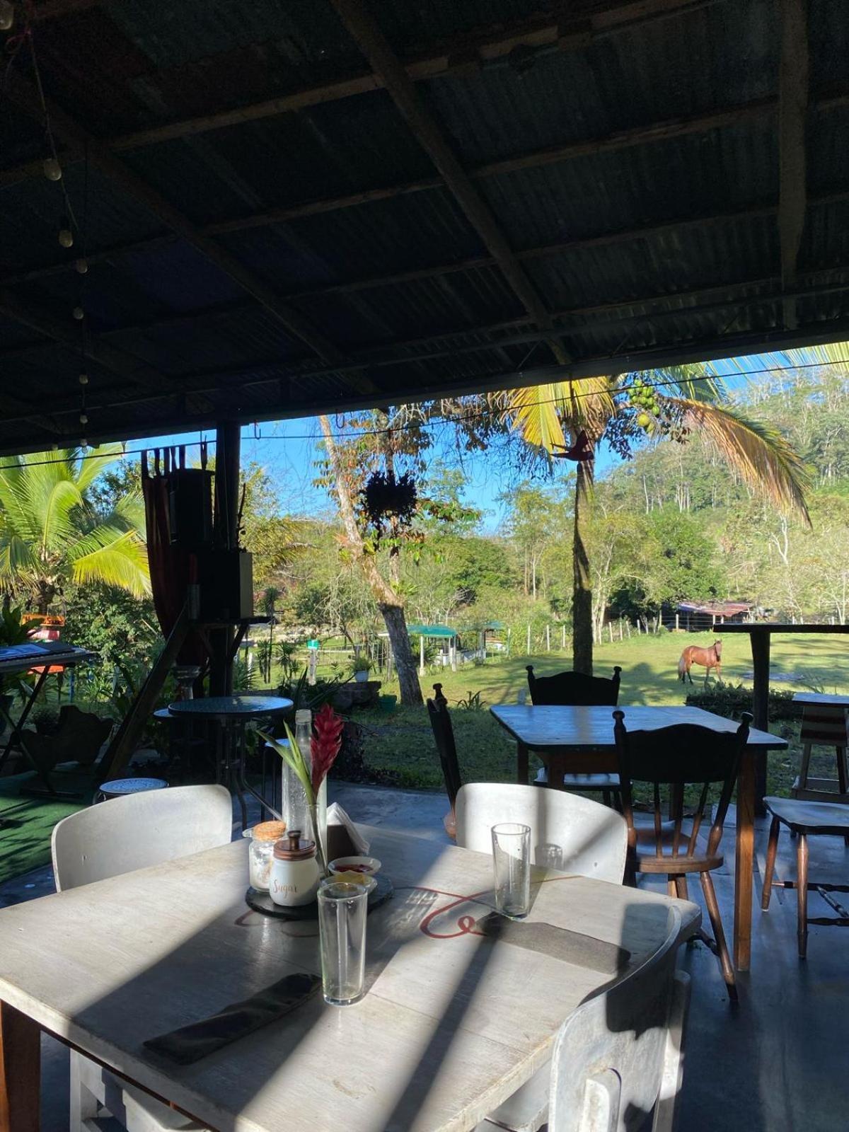 فندق Hacienda Monteclaro توريالبا المظهر الخارجي الصورة